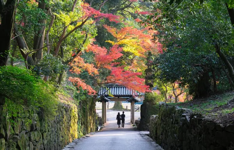 興聖寺